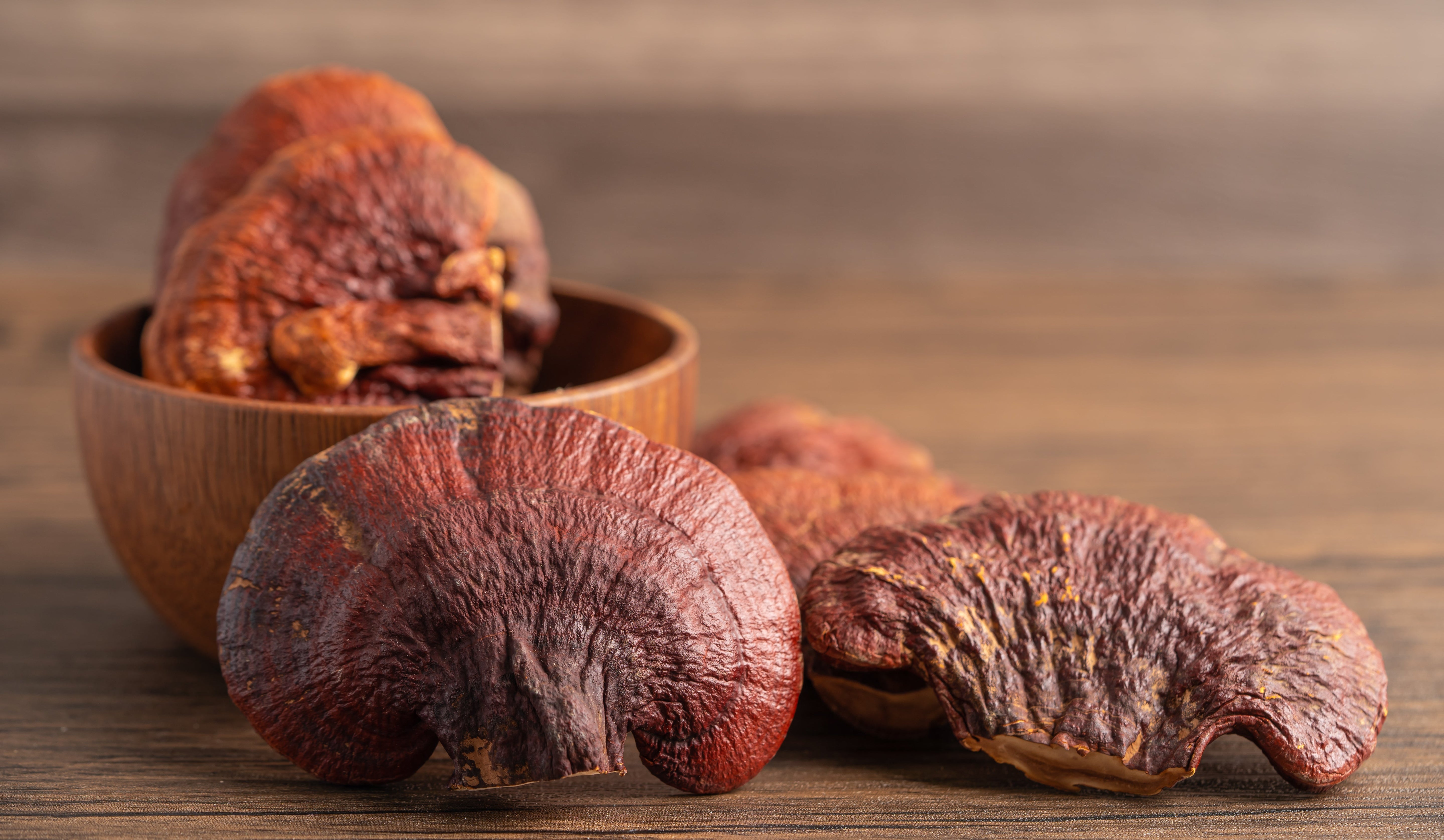 Red Reishi: The Ultimate Mushroom for Calm, Immunity, and Longevity