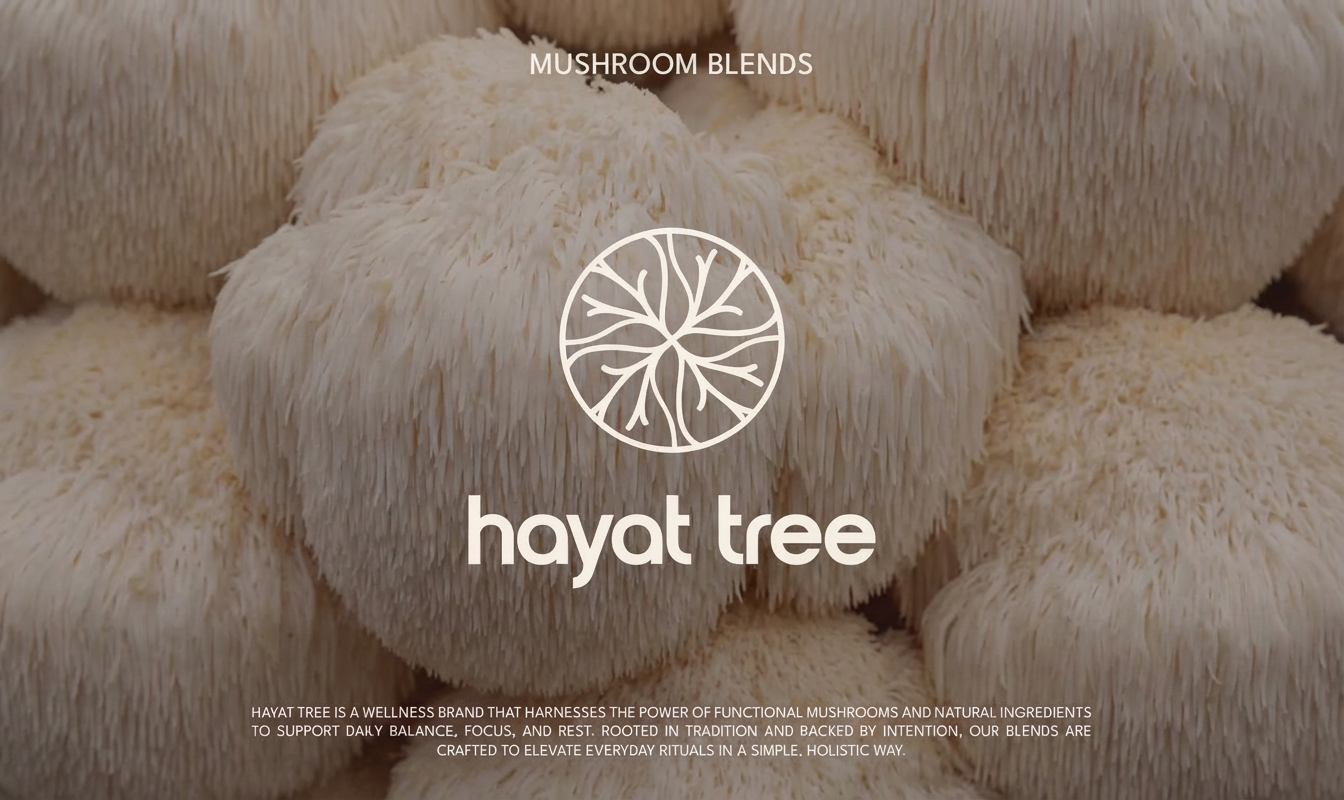 How We Use Lion’s Mane at Hayat Tree