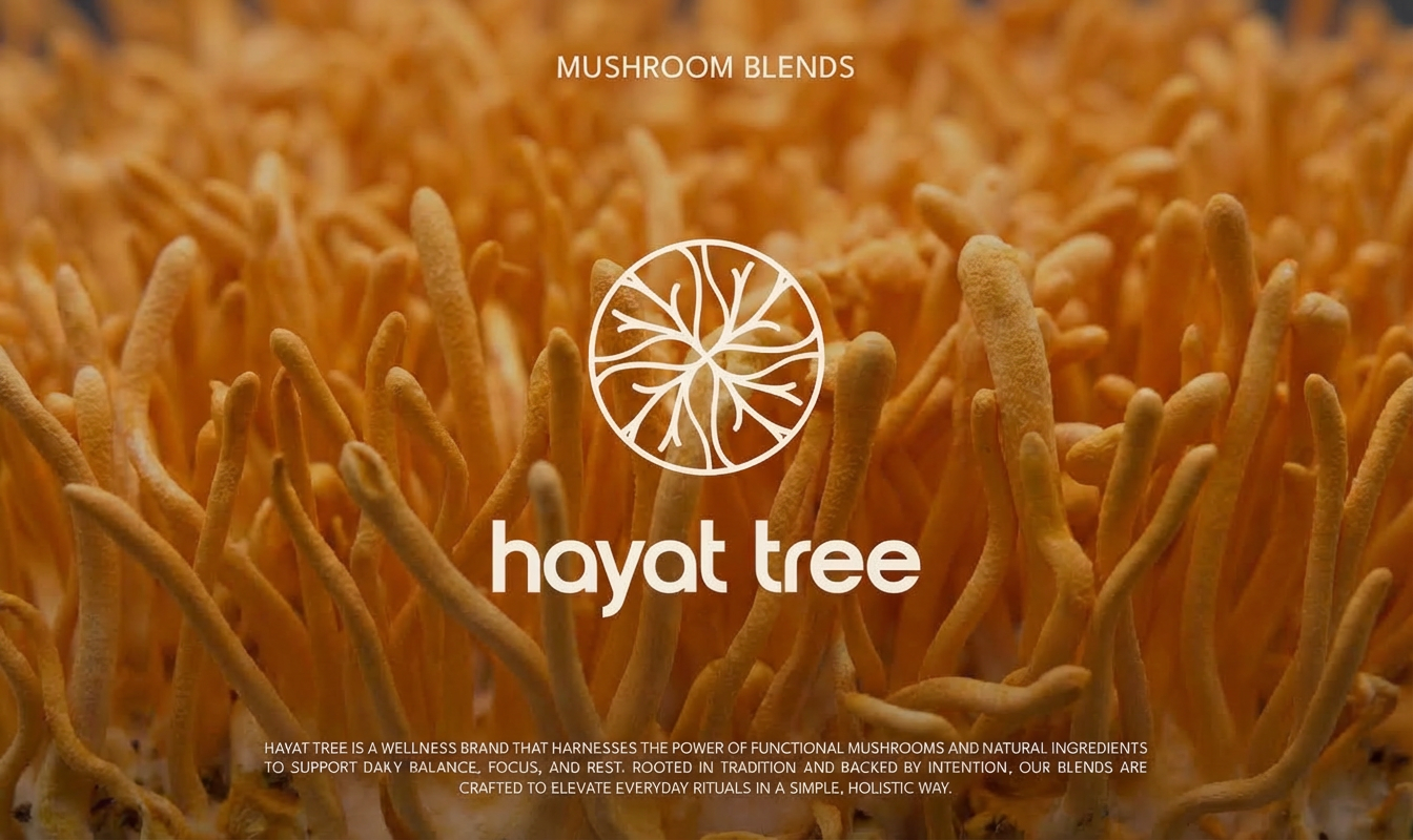 How We Use Cordyceps at Hayat Tree