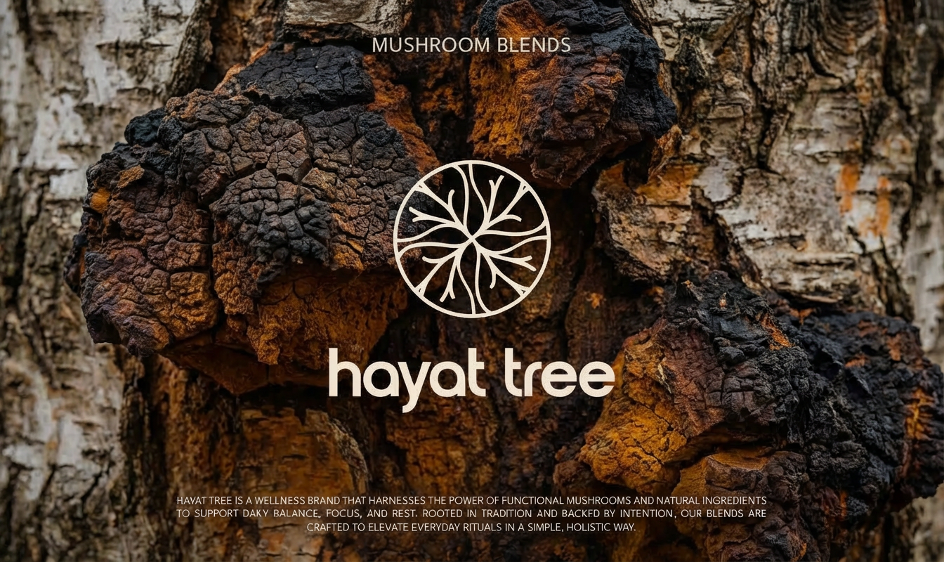 How We Use Chaga at Hayat Tree