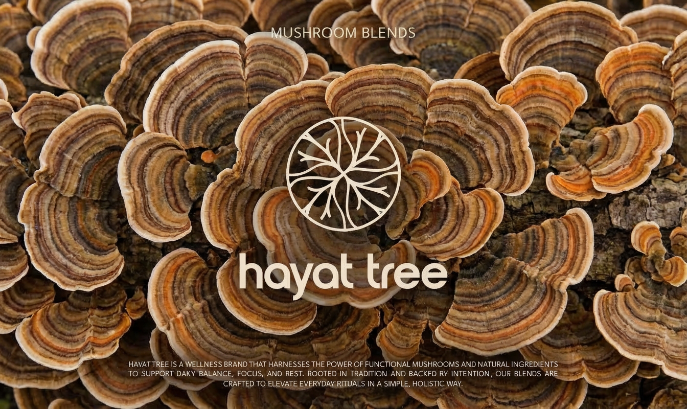 How We Use Turkey Tail at Hayat Tree