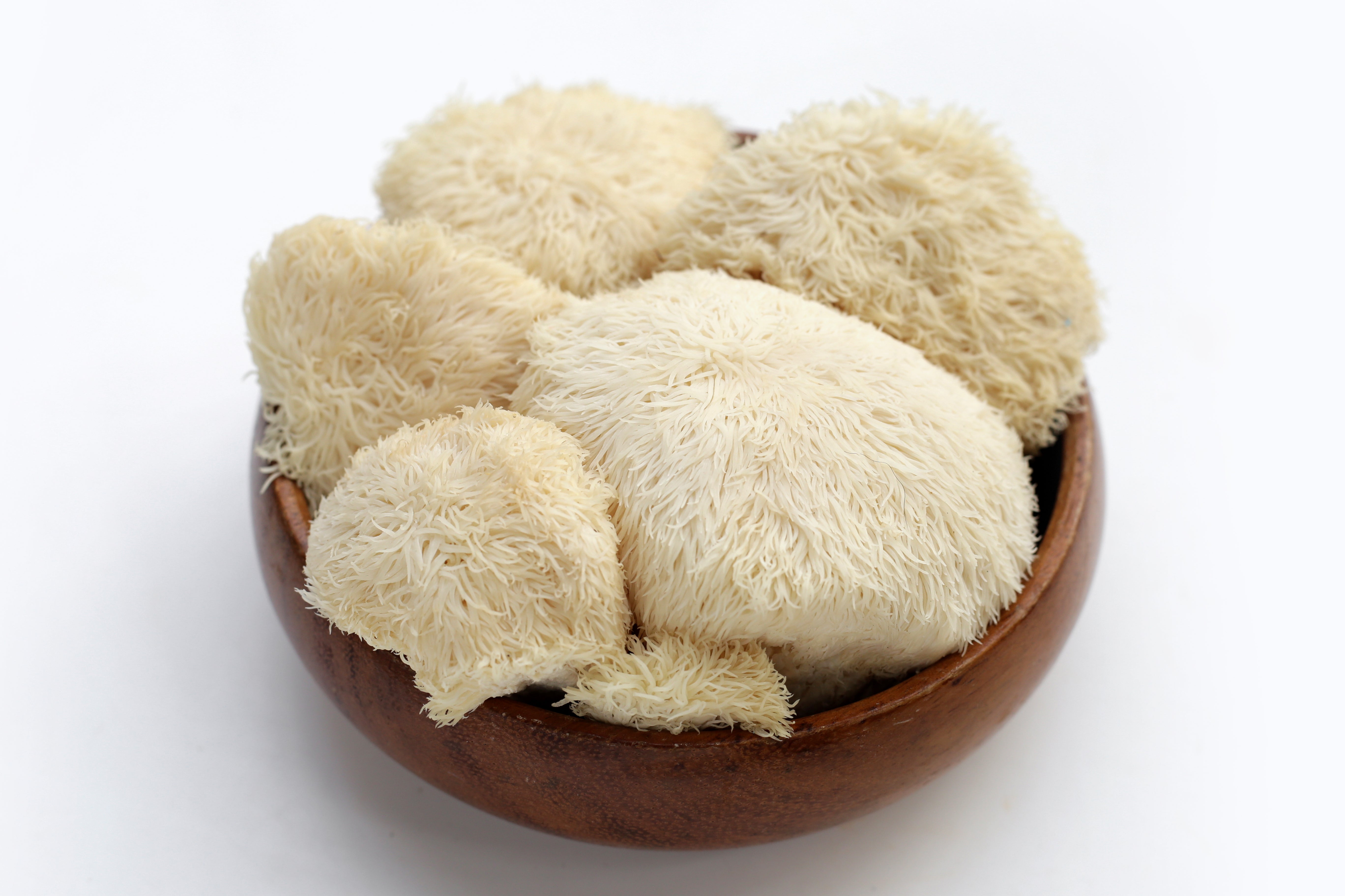 Key Health Benefits of Lion’s Mane