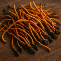 Cordyceps: Nature’s Secret to Energy, Endurance, and Vitality