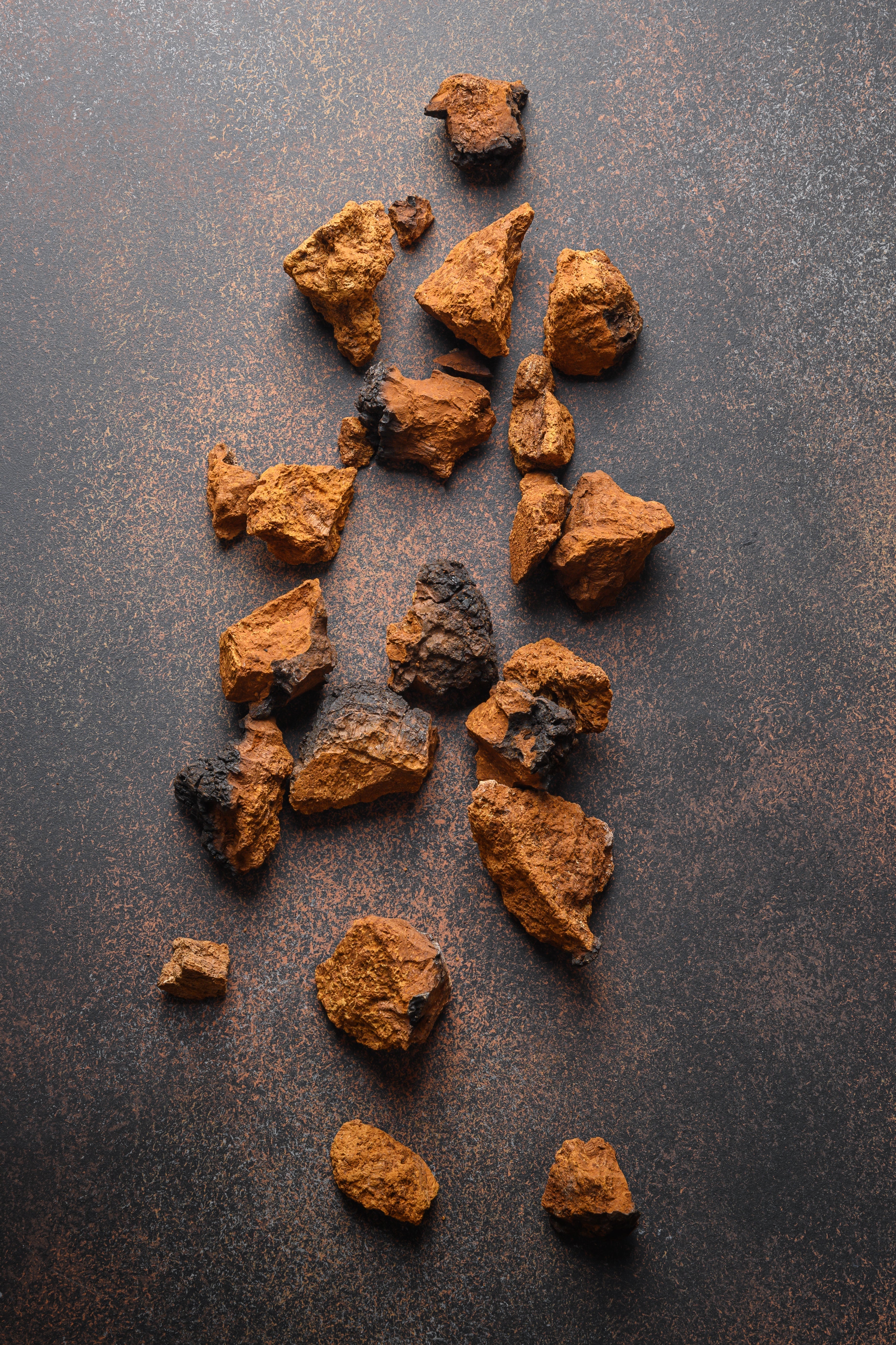 Chaga: The Antioxidant King for Immunity, Skin, and Cellular Health