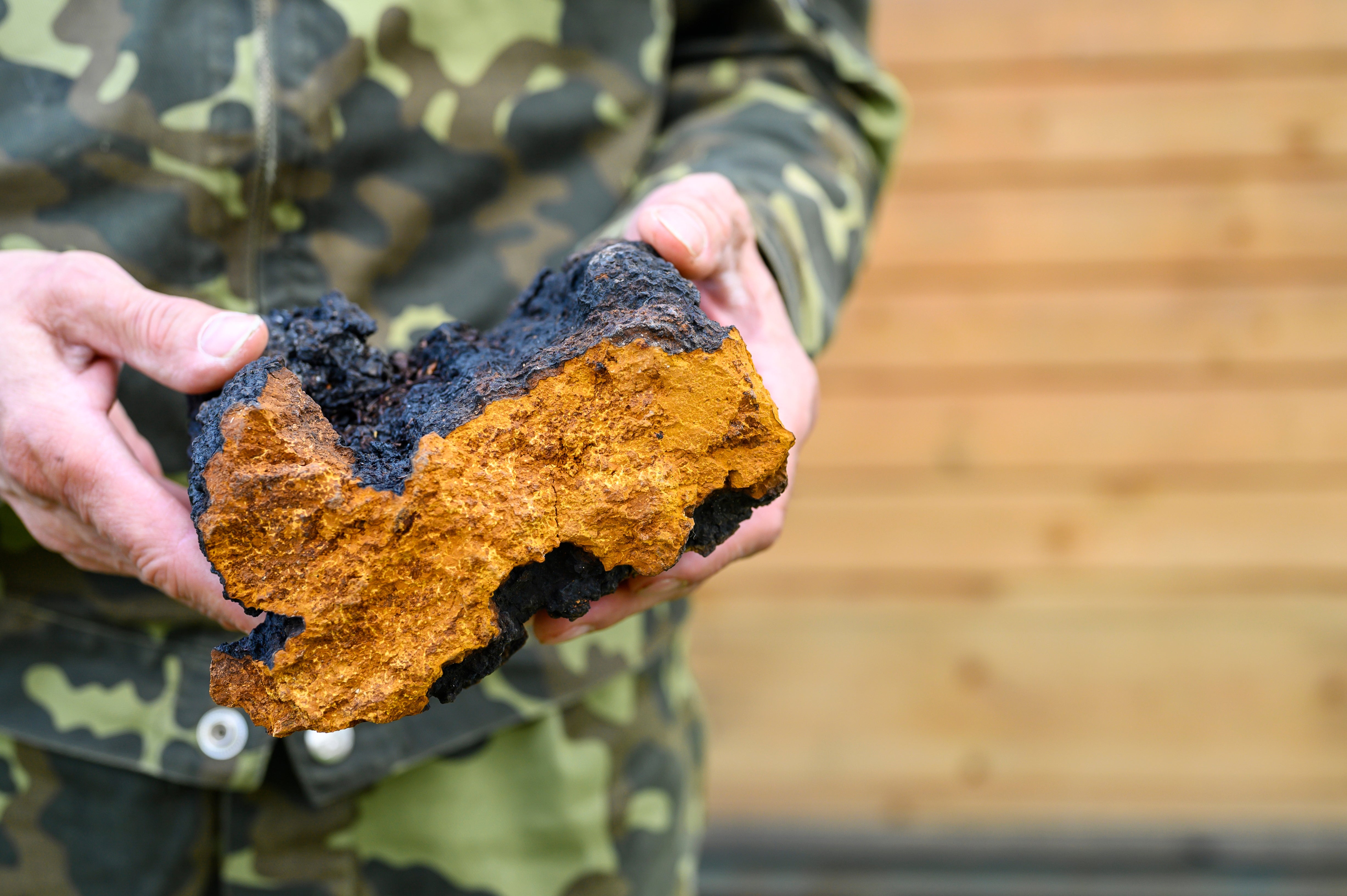 How Does Chaga Work?